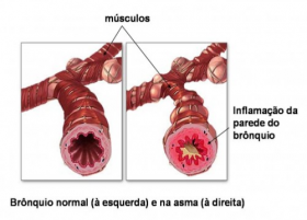  - Vetpolima Clinica Veterinária